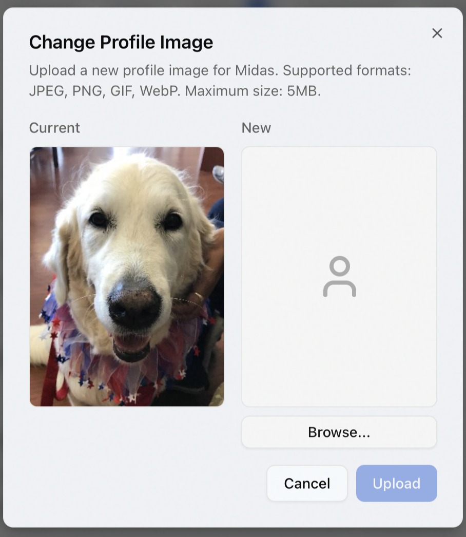 The Change Profile Image dialog as it opens, showing the current photo beside an empty New slot with a Browse button
