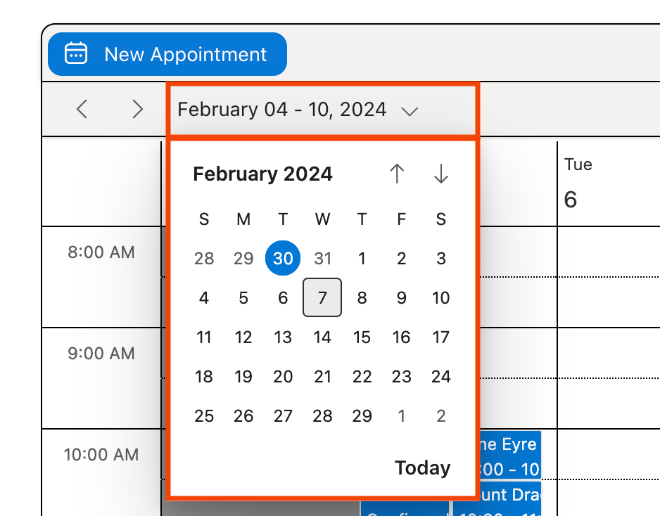 Managing_Appointments_in_the_Client_27847392622483_1764626864745_7761f60b.png