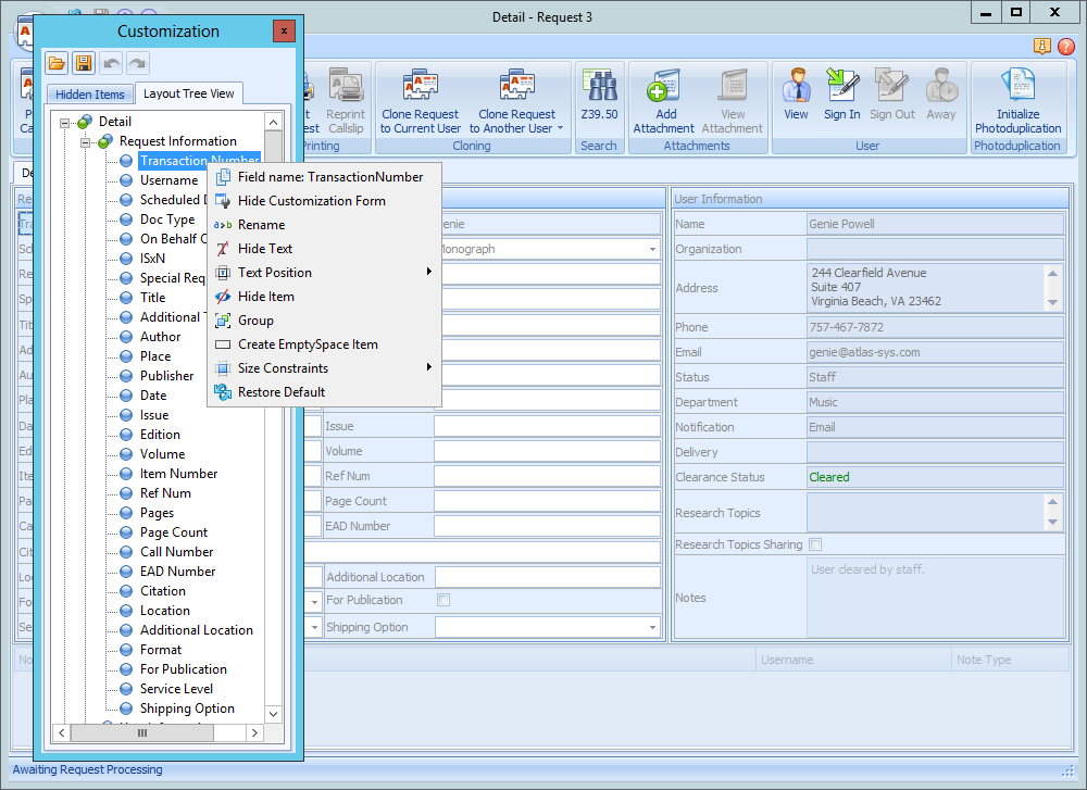 The Customization form's right-click menu showing layout options such as Hide Customization Form, Rename, Hide Text, Text Position, Hide Item, Group, Create EmptySpace Item, Size Constraints, and Restore Default