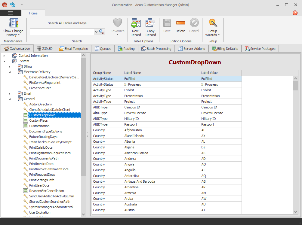 The Aeon Customization Manager displayed in the Office 2013 Dark Gray theme