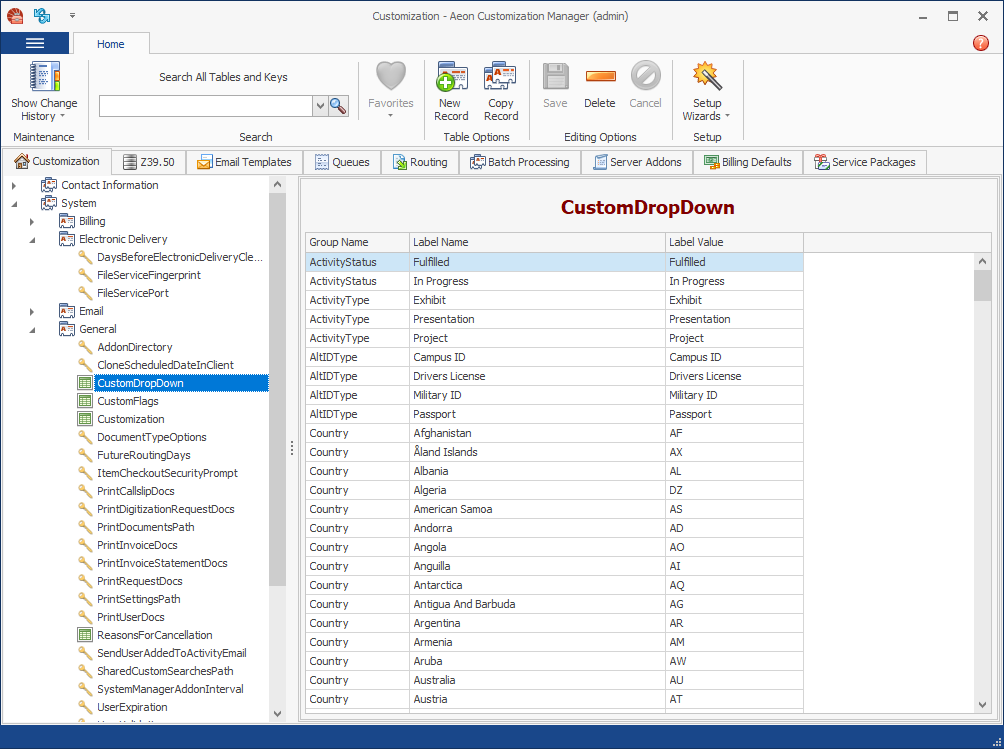 The Aeon Customization Manager displayed in the Office 2013 Light Gray theme