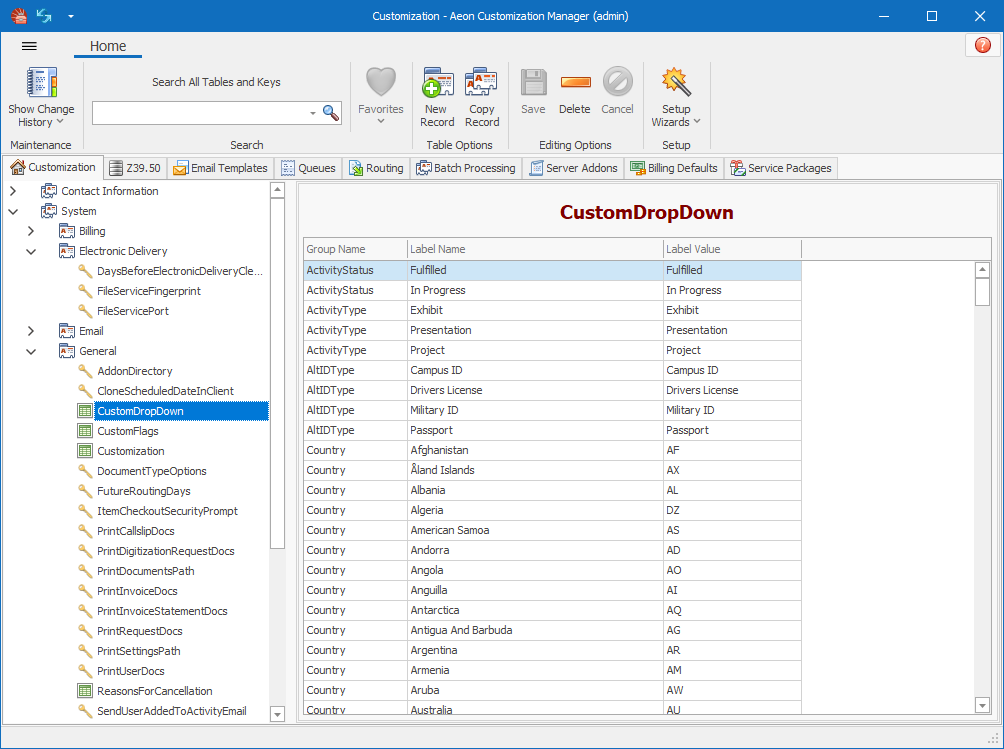 The Aeon Customization Manager displayed in the Office 2019 Colorful theme