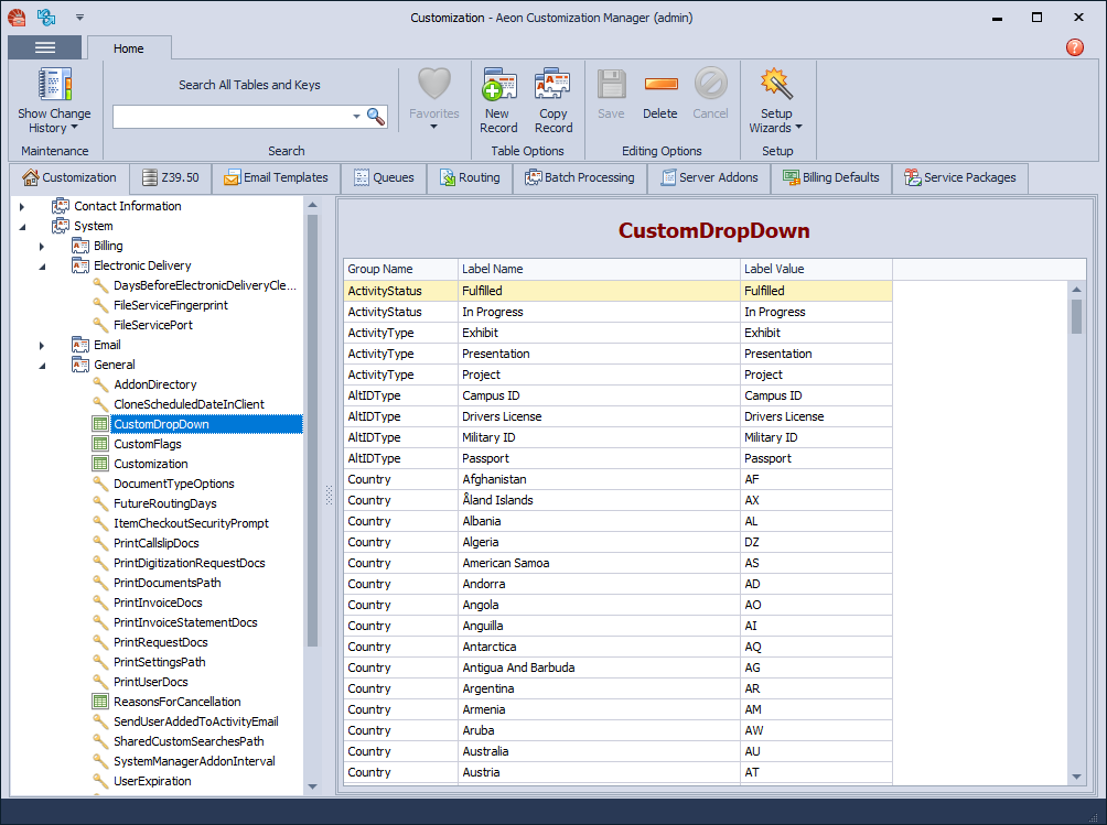 The Aeon Customization Manager displayed in the Visual Studio 2013 Blue theme