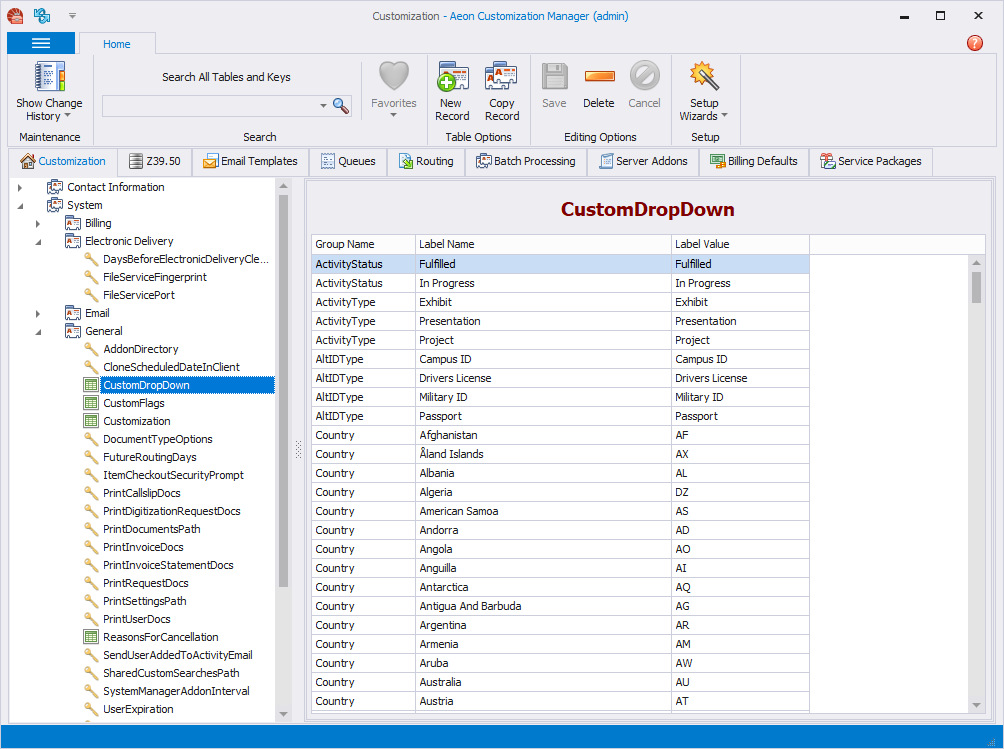 The Aeon Customization Manager displayed in the Visual Studio 2013 Light theme
