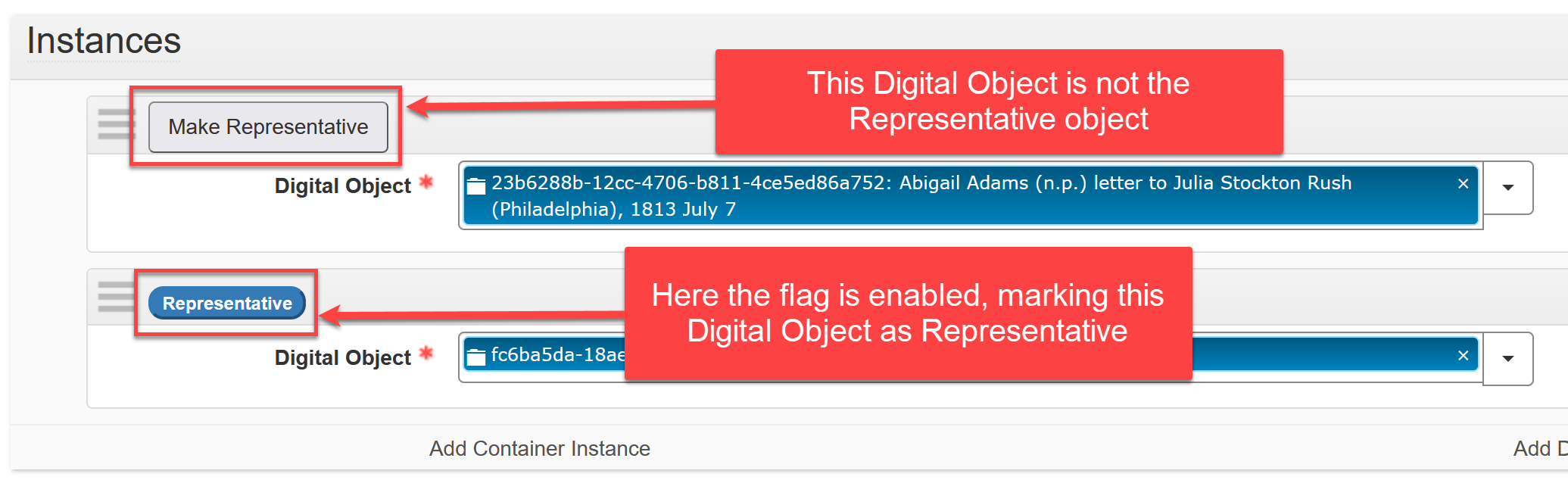 Instances section with "Make Representative" checkbox highlighted