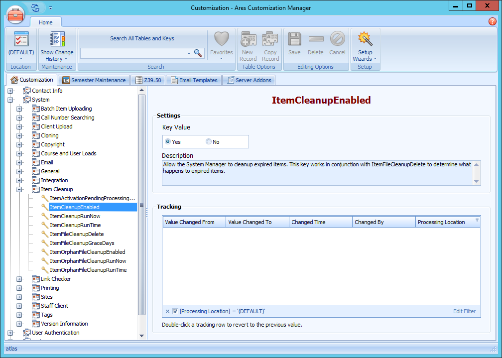 Ares Customization Manager ItemCleanupEnabled