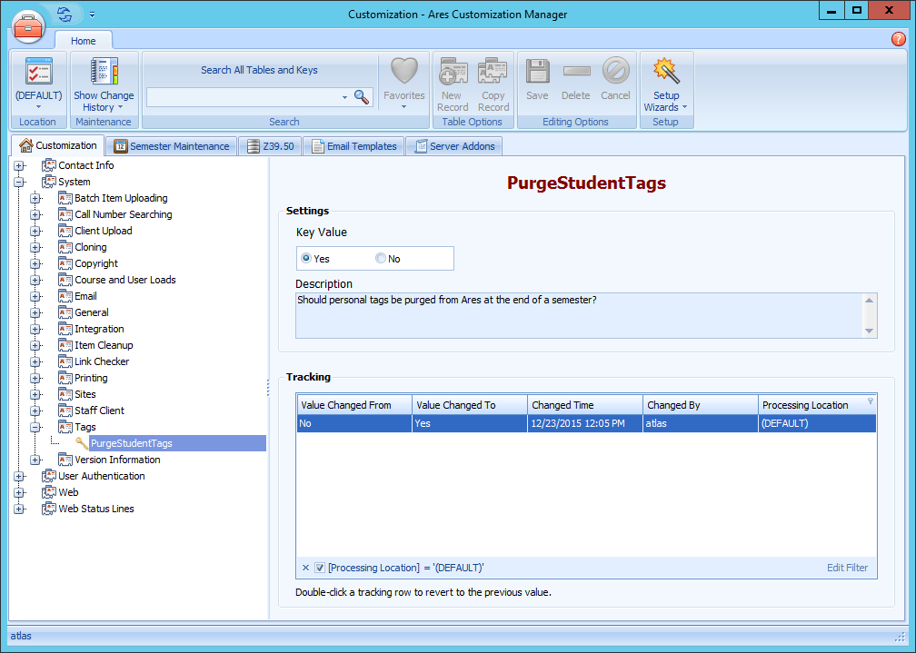 Ares Customization Manager showing PurgeStudentTags setting